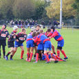 081004_rctpecolerugby_2