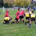 081004_rctpecolerugby_15