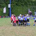 081004_rctpecolerugby_18