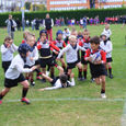 081004_rctpecolerugby_30