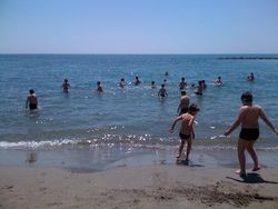 Photo(2)
