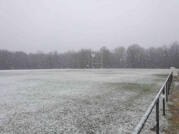 Ecole de rugby - Tournoi M6, M8, M10, M12 annulés